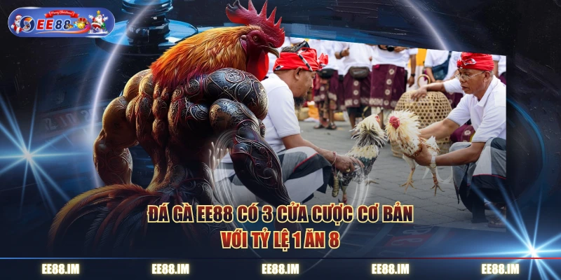 Đá gà EE88 có 3 cửa cược cơ bản với tỷ lệ 1 ăn 8